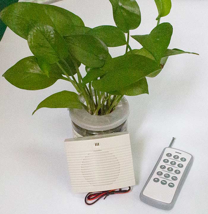 无线？？？胤桨